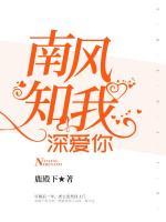 南风知我深爱你