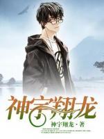 神宇翔龙