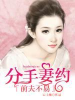 分手妻约，前夫不易