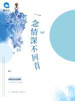一念情深不回首