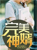 完美神婿