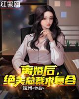 离婚后，绝美总裁求复合