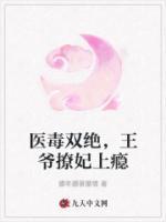 医毒双绝，王爷撩妃上瘾