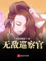 无敌巡察官