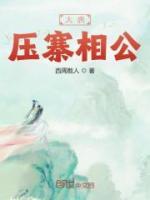 大唐压寨相公