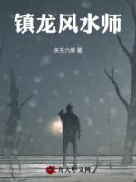 镇龙风水师