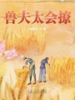 兽夫太会撩