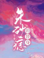 朱砂痣的替身