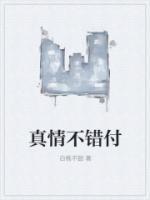 真情不错付
