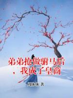 弟弟抢做驸马后，我成了皇商