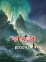 飞升的真相