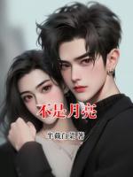 不是月亮