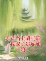 夫君当上驸马后，我成了贵妃娘娘