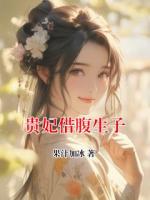 贵妃借腹生子