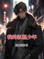 我的狐狸少年