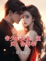 帝少心尖宠：宝贝，你要乖