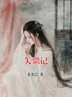 矢鼎记