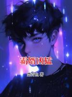 霸婿凶猛