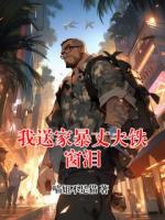 我送家暴丈夫铁窗泪