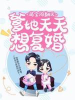 萌宝闹翻天：爹地天天想复婚