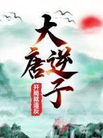 大唐逆子：开局就造反