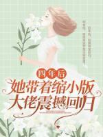 四年后，她带着缩小版大佬震撼回归