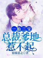 一胎三宝，总裁爹地惹不起