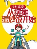 乡村富豪：从摆摊蛋炒饭开始