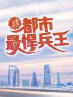 王者回归：都市最悍兵王