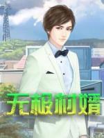 无极村婿