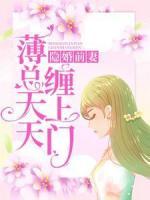 隐婚前妻：薄总天天缠上门