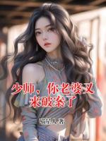 少帅，你老婆又来破案了