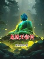 龙凰天帝传