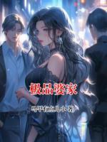 极品婆家