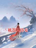 机器人侍妾