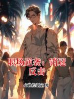职场逆袭：销冠反击