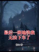 最后一班地铁我无法下车了