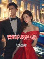 我的闪婚生活