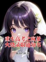 重生高考之疯爹火烧录取通知书