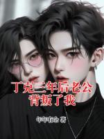 丁克三年后老公背叛了我