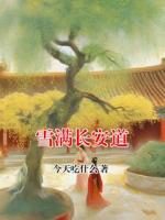 雪满长安道