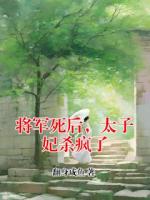 将军死后，太子妃杀疯了