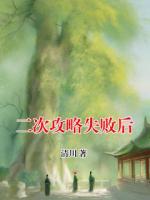 二次攻略失败后