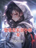 婆婆是笨蛋小娇妻