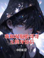 我和双胞胎哥哥互换身份后