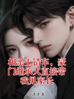 相亲上错车，豪门继承人直接带我见家长