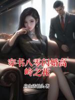 穿书八零闪婚高岭之花