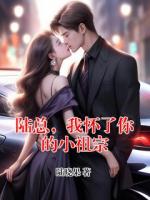 陆总，我怀了你的小祖宗