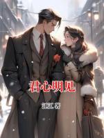 君心明见