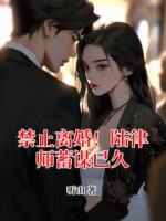 禁止离婚！陆律师蓄谋已久
